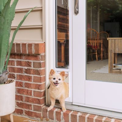 PetSafe Sliding Glass Pet Door, 2-Piece