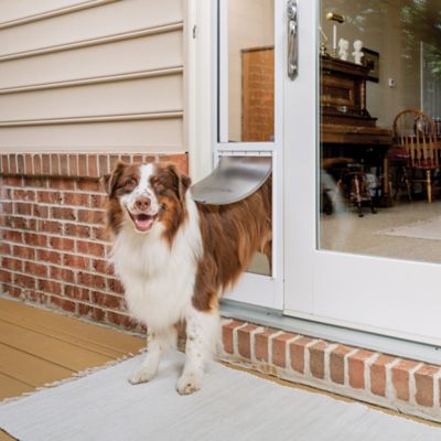 PetSafe Sliding Glass Pet Door, 2-Piece