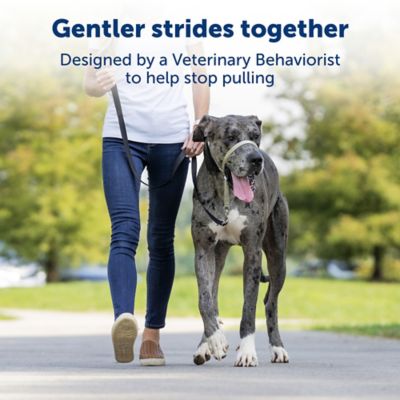Image showing 1 th PetSafe Gentle Leader Quick-Release Dog Headcollar
