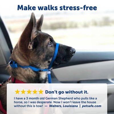 Image showing 3 th PetSafe Gentle Leader Quick-Release Dog Headcollar