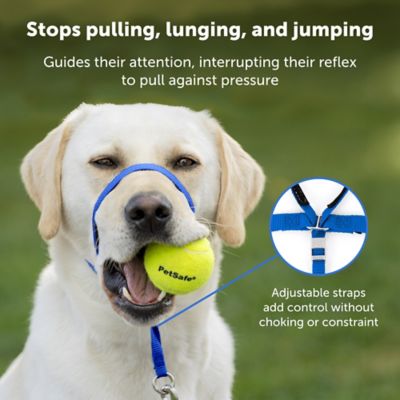 Image showing 2 th PetSafe Gentle Leader Quick-Release Dog Headcollar