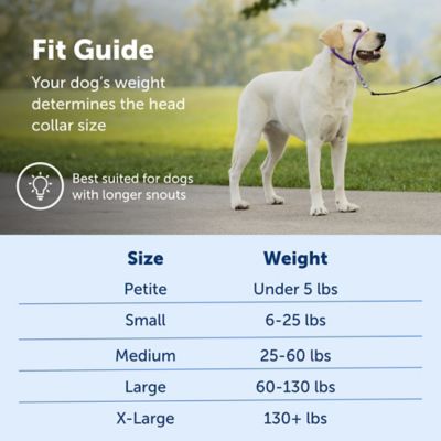 Image showing  Gentle Leader Quick-Release Dog Headcollar