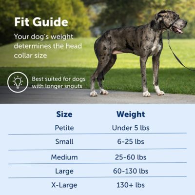 Image showing 4 th PetSafe Gentle Leader Quick-Release Dog Headcollar