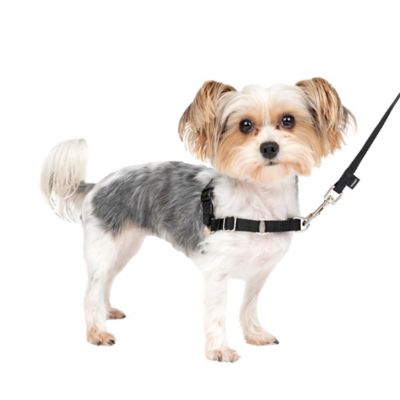 PetSafe Easy Walk No-Pull Dog Harness