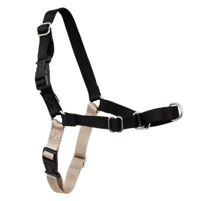 Image showing 8 th PetSafe Easy Walk No-Pull Dog Harness