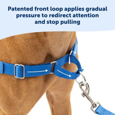 Image showing 2 th PetSafe Easy Walk No-Pull Dog Harness