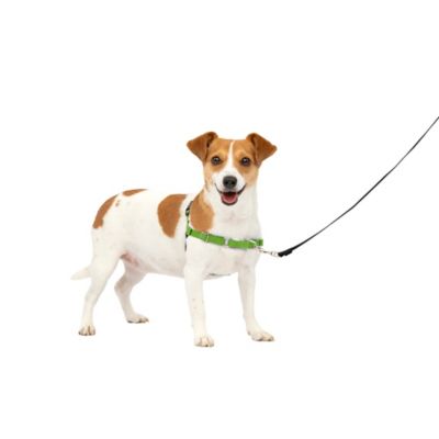 Image showing 7 th PetSafe Easy Walk No-Pull Dog Harness