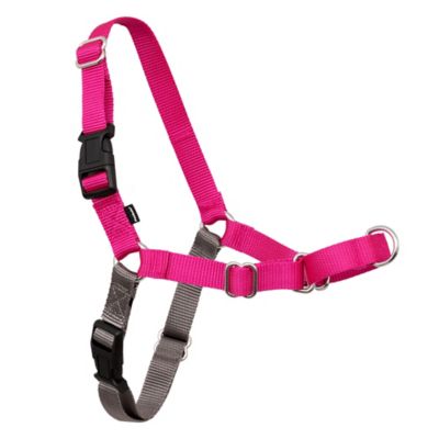 Image showing 8 th PetSafe Easy Walk No-Pull Dog Harness