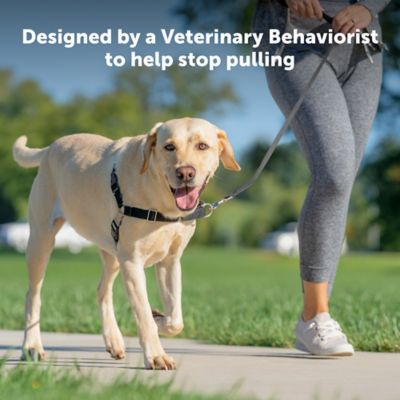 Image showing  Easy Walk No-Pull Dog Harness