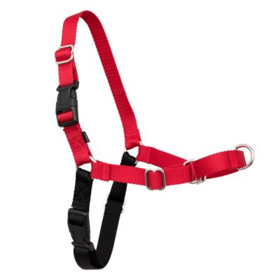 Image showing 7 th PetSafe Easy Walk No-Pull Dog Harness