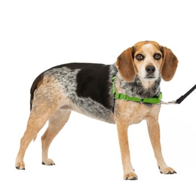 PetSafe Easy Walk No-Pull Dog Harness