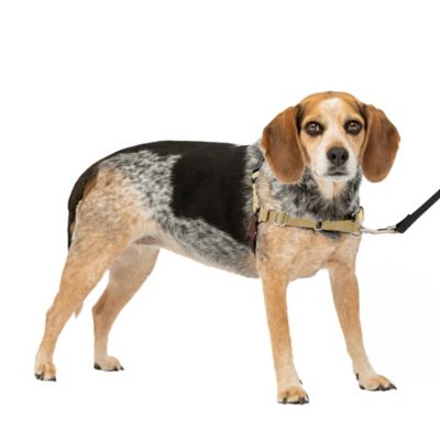 Image showing  Easy Walk No-Pull Dog Harness