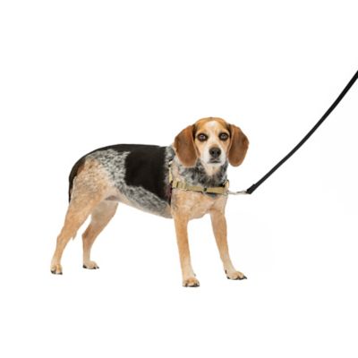 Image showing 7 th PetSafe Easy Walk No-Pull Dog Harness