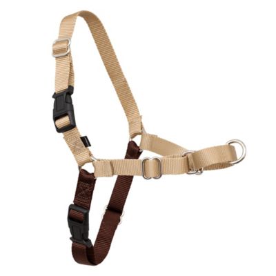 Image showing 8 th PetSafe Easy Walk No-Pull Dog Harness