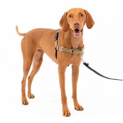 PetSafe Easy Walk No-Pull Dog Harness
