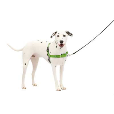 Image showing 7 th PetSafe Easy Walk No-Pull Dog Harness