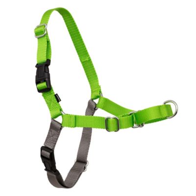 Image showing 8 th PetSafe Easy Walk No-Pull Dog Harness