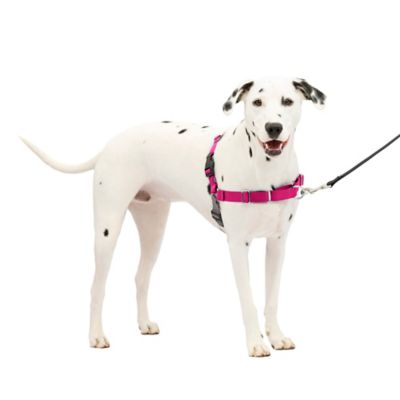 PetSafe Easy Walk No-Pull Dog Harness
