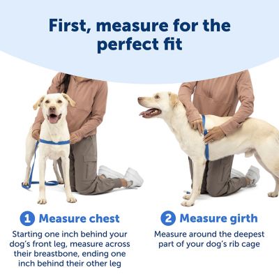Image showing 3 th PetSafe Easy Walk No-Pull Dog Harness