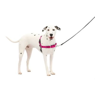 Image showing 7 th PetSafe Easy Walk No-Pull Dog Harness