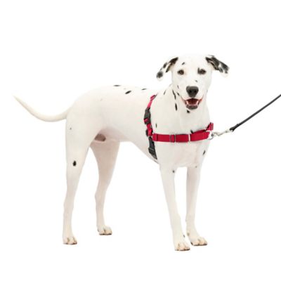 PetSafe Easy Walk No-Pull Dog Harness