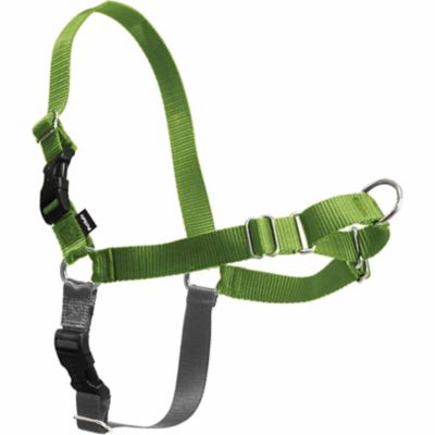 loopy dog harness