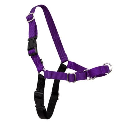 Image showing 8 th PetSafe Easy Walk No-Pull Dog Harness