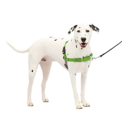 Easy walk no pull dog harness best sale