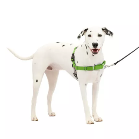 PetSafe Easy Walk No-Pull Dog Harness Dog Basic Harnesses