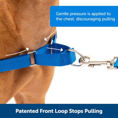 Image showing  Easy Walk No-Pull Dog Harness