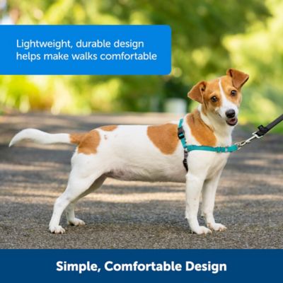 Image showing  Easy Walk No-Pull Dog Harness