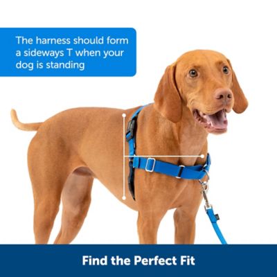 Image showing  Easy Walk No-Pull Dog Harness