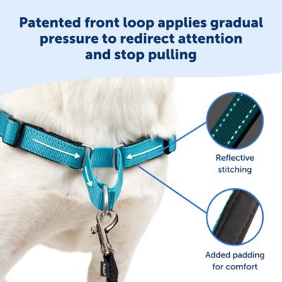 Image showing  Easy Walk Deluxe No-Pull Dog Harness