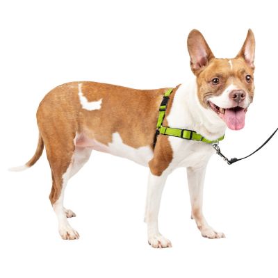 PetSafe Easy Walk Deluxe No-Pull Dog Harness Petsafe harnesses are good buys