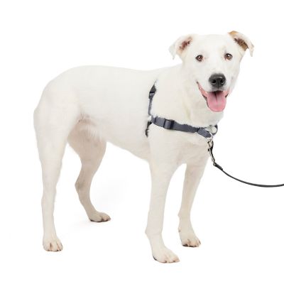 PetSafe Easy Walk Deluxe No-Pull Dog Harness