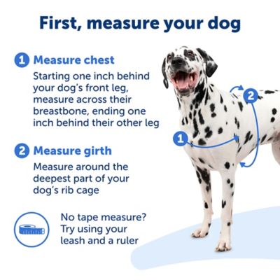 Image showing 3 th PetSafe Easy Walk Deluxe No-Pull Dog Harness