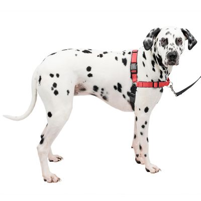 PetSafe Easy Walk Deluxe No-Pull Dog Harness Petsafe harnesses are good buys