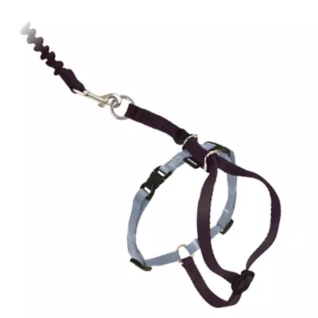 PetSafe Come With Me Kitty Adjustable Cat Harness and Bungee Leash 3/8 in. Cat Collars & Harnesses