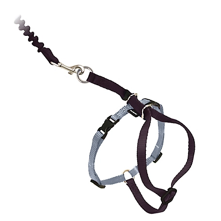 PetSafe Come With Me Kitty Adjustable Cat Harness and Bungee Leash, 3/8 in.