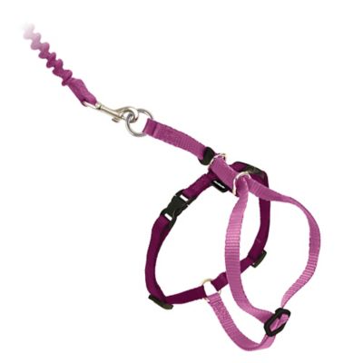 Image showing  Come With Me Kitty Adjustable Cat Harness and Bungee Leash, 3/8 in.