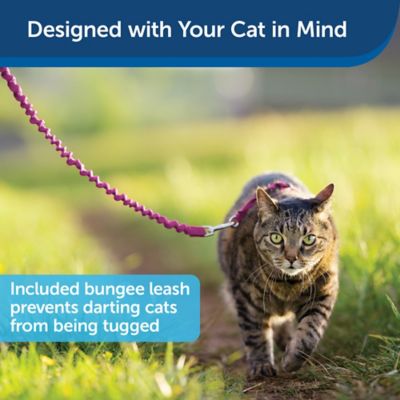 Image showing  Come With Me Kitty Adjustable Cat Harness and Bungee Leash, 3/8 in.