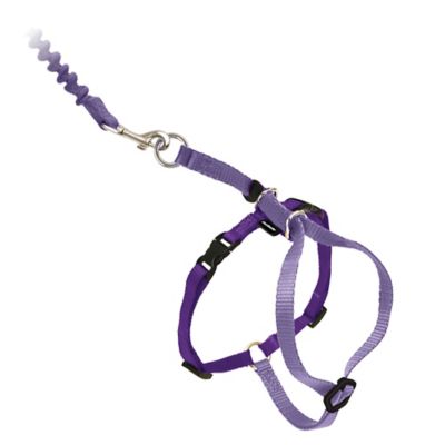 Image showing  Come With Me Kitty Adjustable Cat Harness and Bungee Leash, 3/8 in.