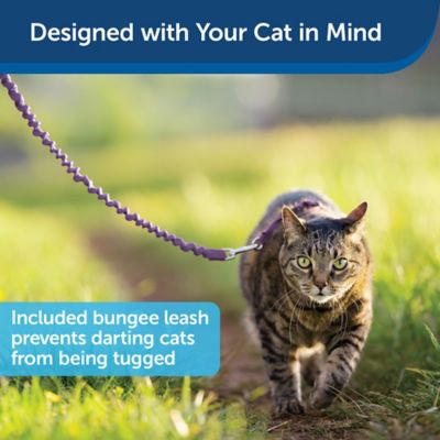 Image showing  Come With Me Kitty Adjustable Cat Harness and Bungee Leash, 3/8 in.