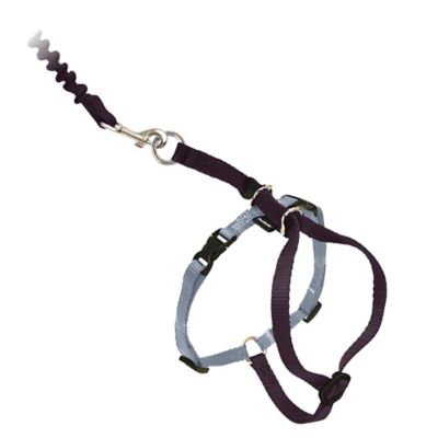 Image showing  Come With Me Kitty Adjustable Cat Harness and Bungee Leash, 3/8 in.