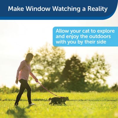 Image showing  Come With Me Kitty Adjustable Cat Harness and Bungee Leash, 3/8 in.