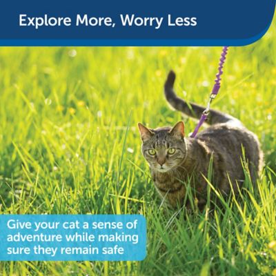 Image showing  Come With Me Kitty Adjustable Cat Harness and Bungee Leash, 3/8 in.