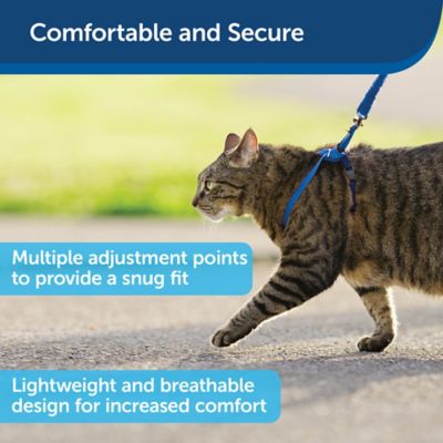 Image showing  Come With Me Kitty Adjustable Cat Harness and Bungee Leash, 3/8 in.