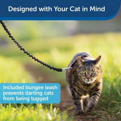 Image showing  Come With Me Kitty Adjustable Cat Harness and Bungee Leash, 3/8 in.