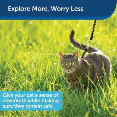 Image showing  Come With Me Kitty Adjustable Cat Harness and Bungee Leash, 3/8 in.