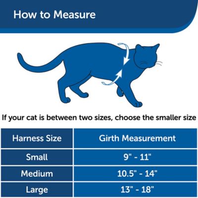 Image showing 5 th PetSafe Come With Me Kitty Adjustable Cat Harness and Bungee Leash, 3/8 in.
